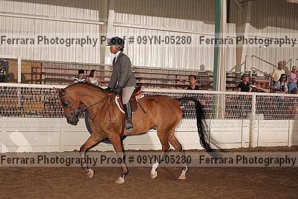 Proof 09yn-05280