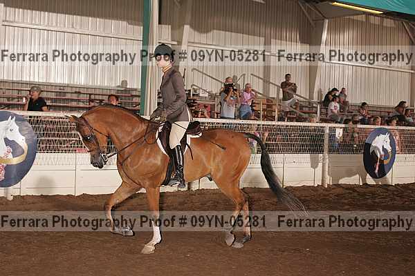 Proof 09yn-05281