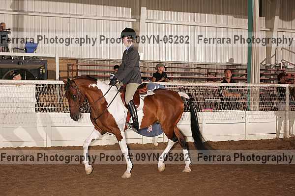 Proof 09yn-05282