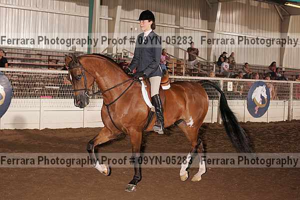 Proof 09yn-05283