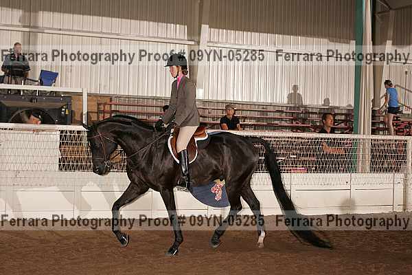 Proof 09yn-05285