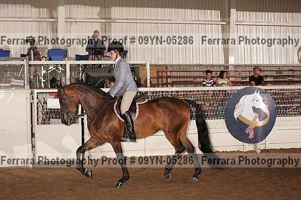 Proof 09yn-05286