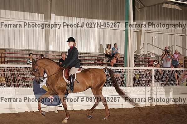 Proof 09yn-05287