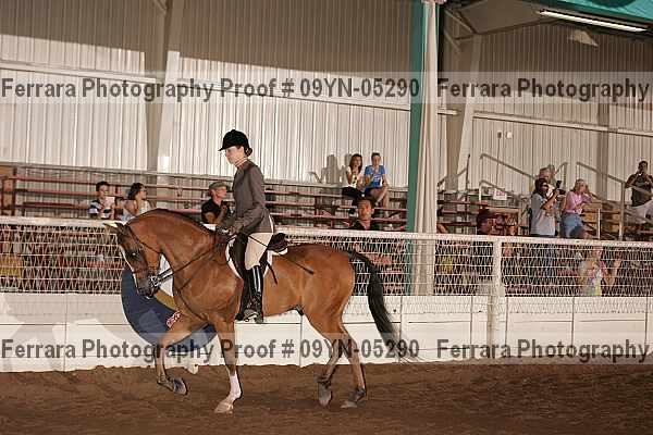 Proof 09yn-05290