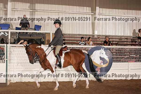 Proof 09yn-05291