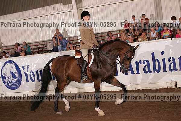 Proof 09yn-05295