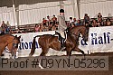 09yn-05296 proof