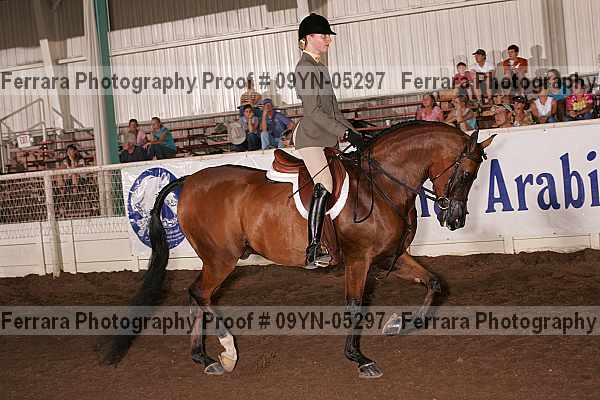 Proof 09yn-05297