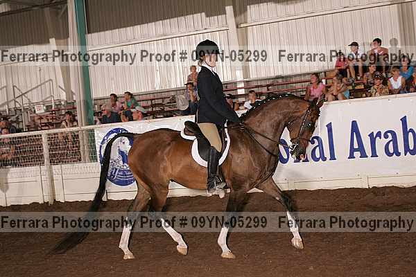 Proof 09yn-05299