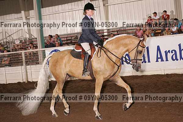 Proof 09yn-05300