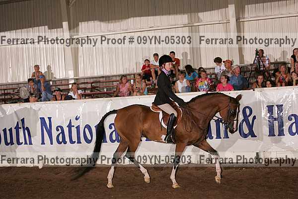 Proof 09yn-05303