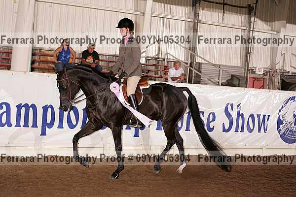 Proof 09yn-05304