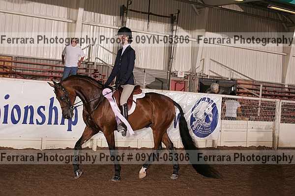 Proof 09yn-05306