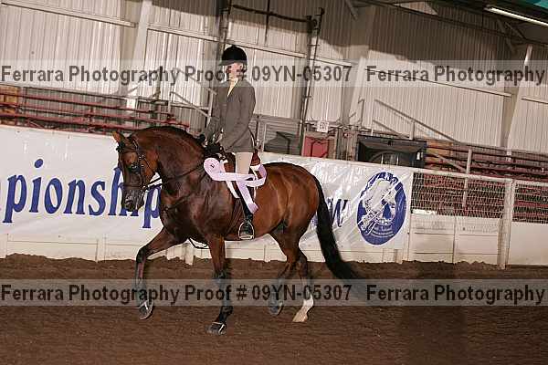 Proof 09yn-05307