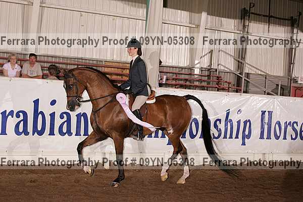 Proof 09yn-05308