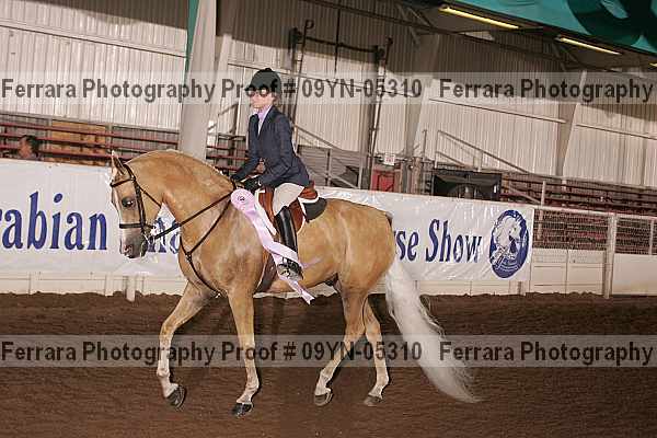 Proof 09yn-05310