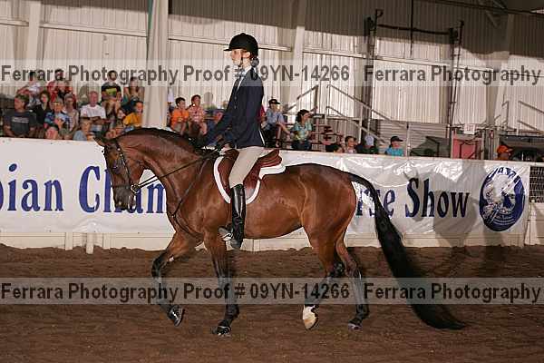 Proof 09yn-14266