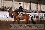 09yn-14266 proof