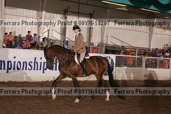 Proof 09yn-14267