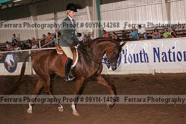Proof 09yn-14268