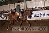 09yn-14268 proof