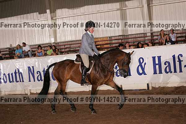 Proof 09yn-14270
