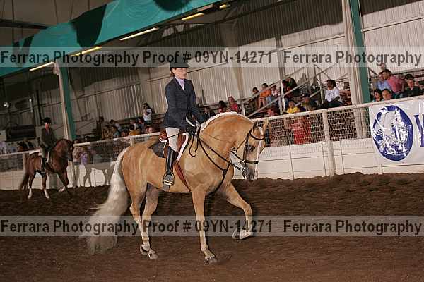 Proof 09yn-14271