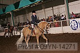 09yn-14271 proof