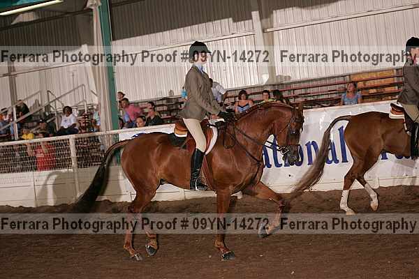 Proof 09yn-14272