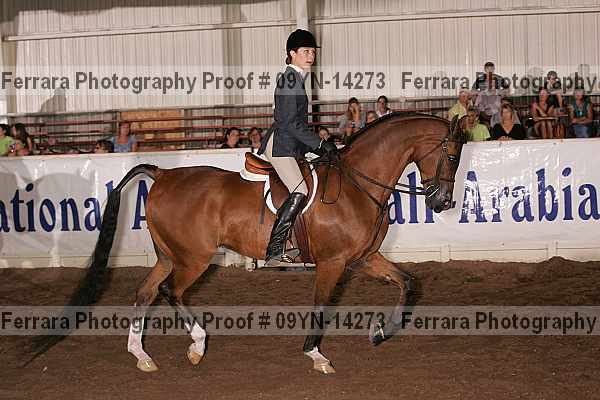 Proof 09yn-14273