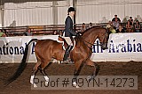 09yn-14273 proof