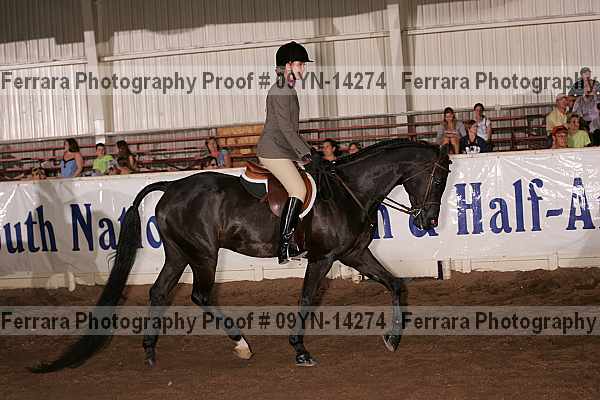 Proof 09yn-14274