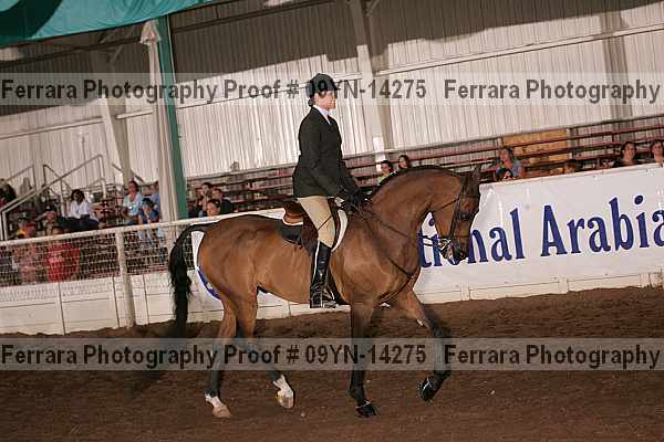 Proof 09yn-14275
