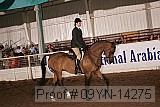 09yn-14275 proof