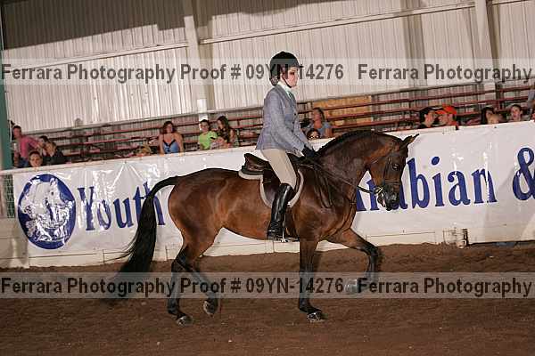 Proof 09yn-14276