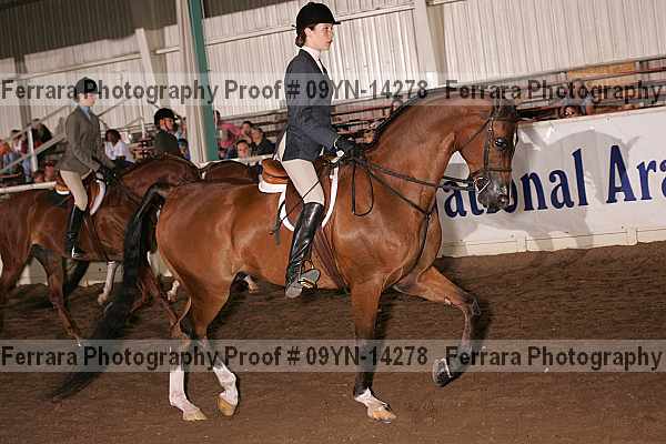 Proof 09yn-14278