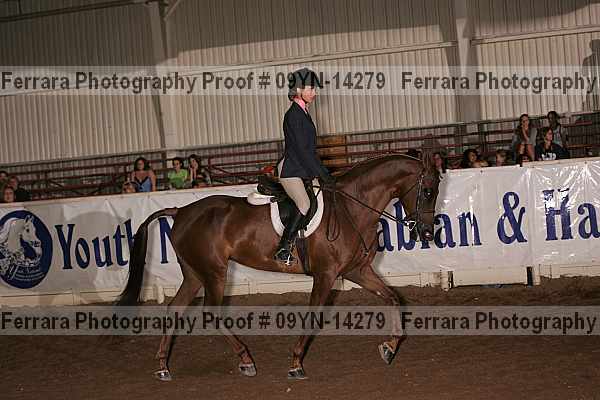 Proof 09yn-14279