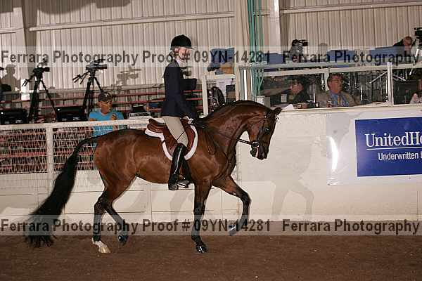 Proof 09yn-14281