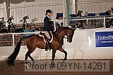 09yn-14281 proof