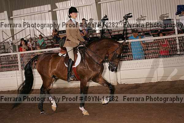 Proof 09yn-14282