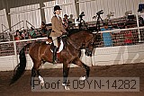 09yn-14282 proof