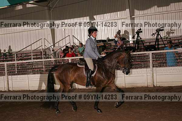 Proof 09yn-14283