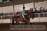 09yn-14283 proof