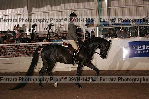 Proof 09yn-14284