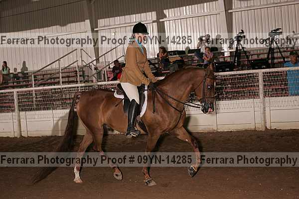 Proof 09yn-14285