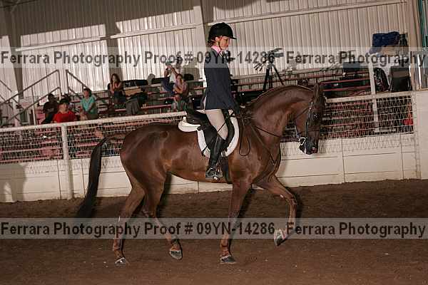 Proof 09yn-14286