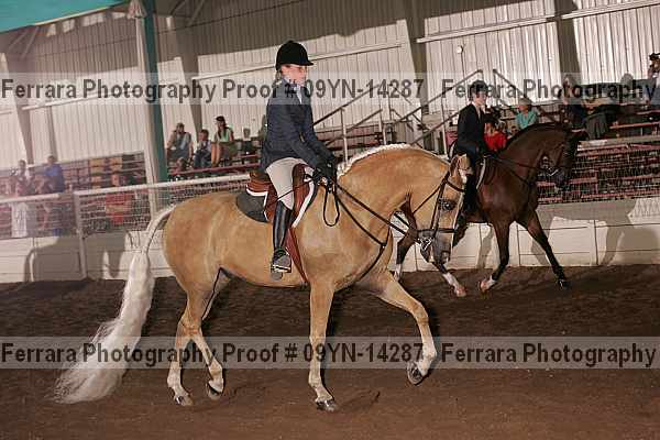Proof 09yn-14287