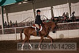 09yn-14288 proof