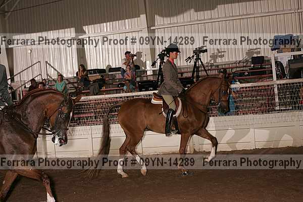 Proof 09yn-14289