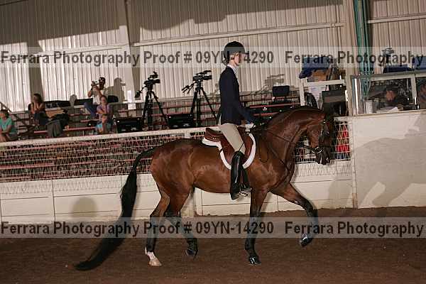 Proof 09yn-14290